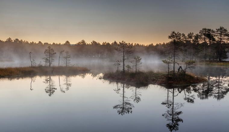 suveöö