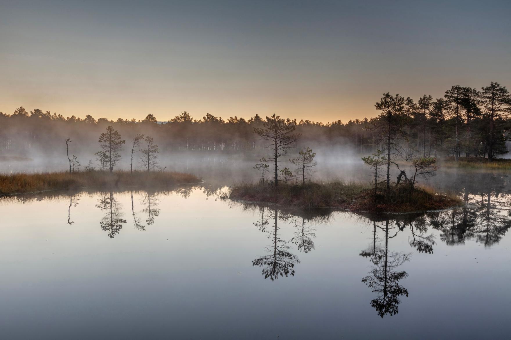 suveöö